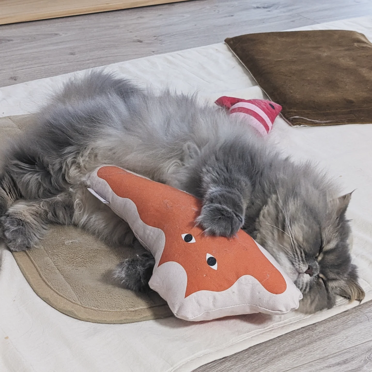 【数量限定】ねこは液体 けりぐるみ