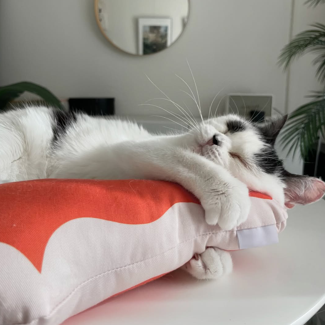 【数量限定】ねこは液体 けりぐるみ