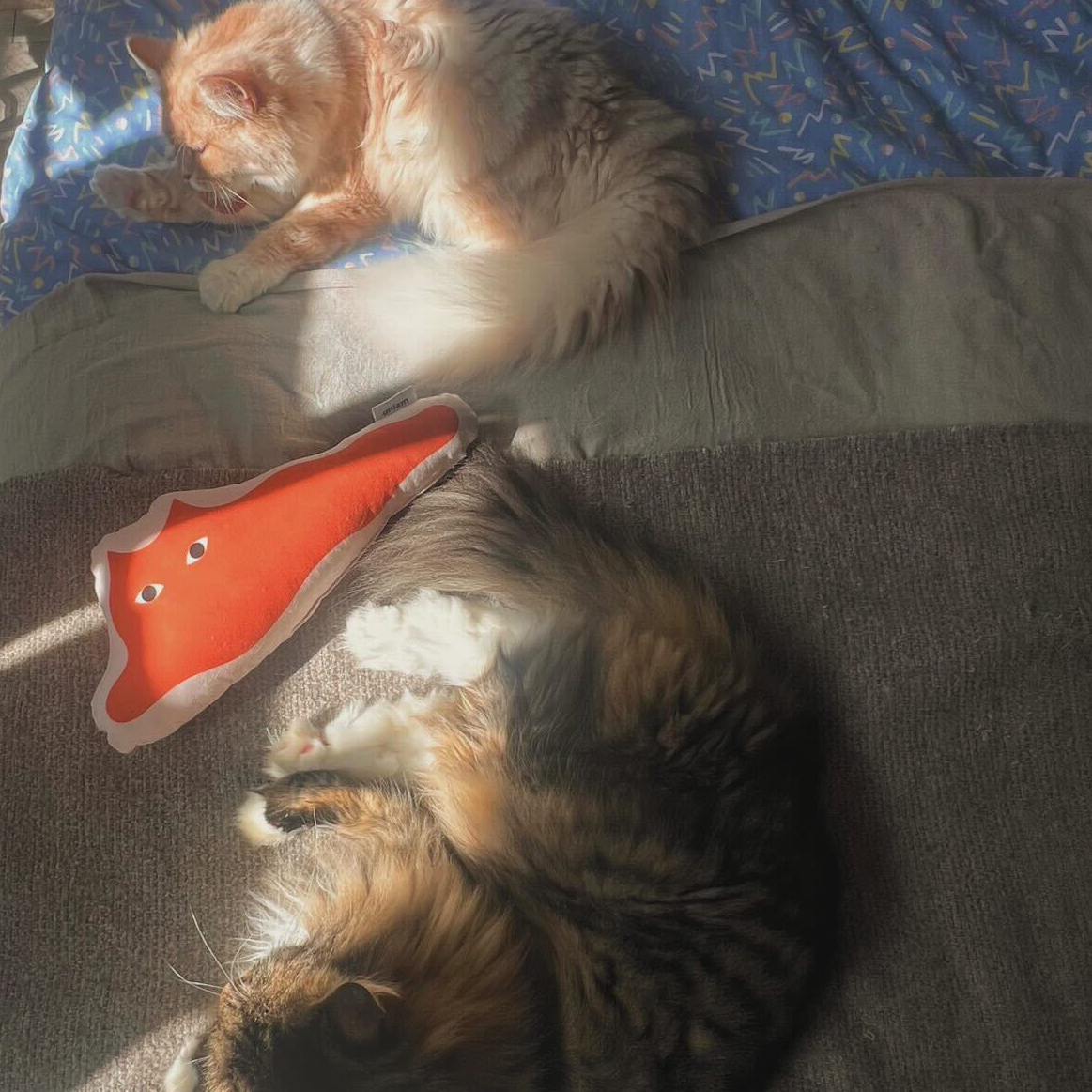 【数量限定】ねこは液体 けりぐるみ