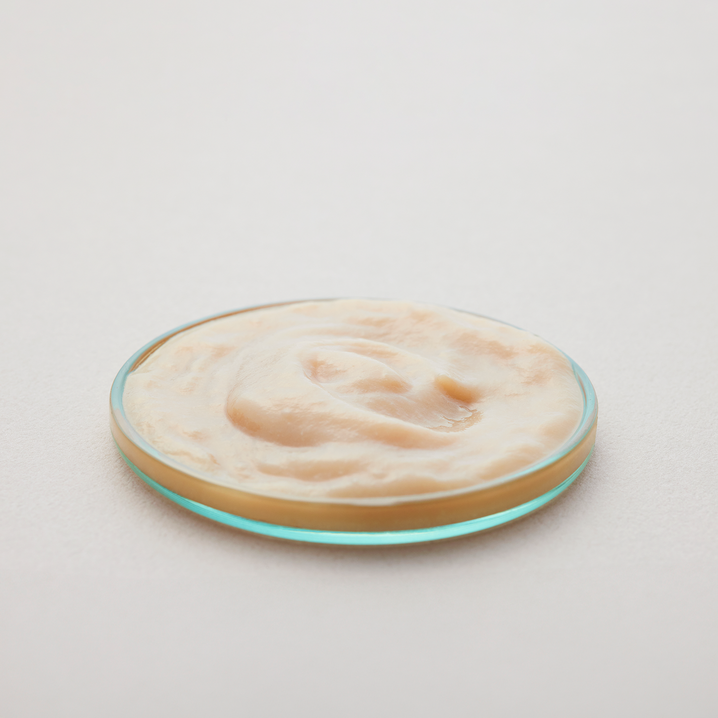 【単品】ピュアピューレ 腸内免疫ケア