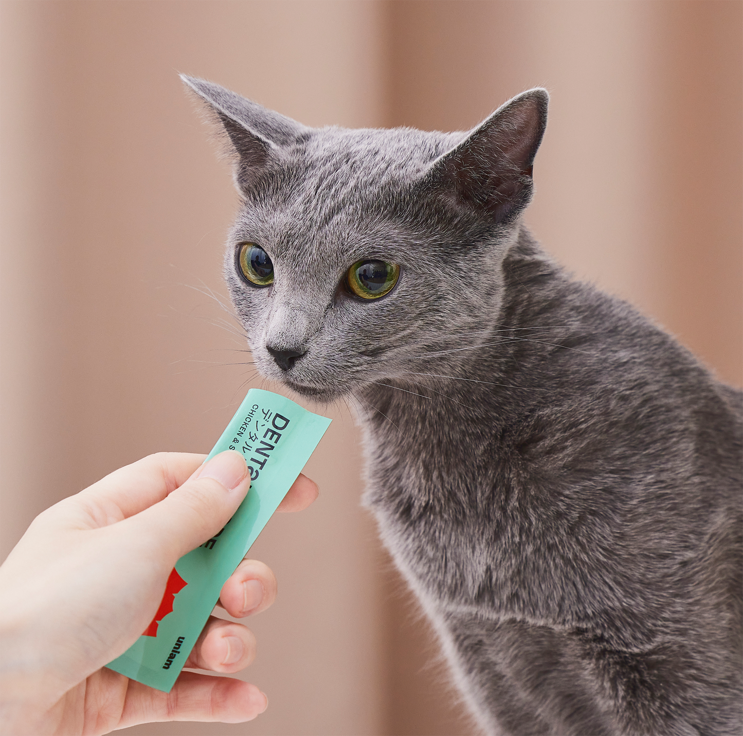 【定期便】ピュアピューレ デンタルケア