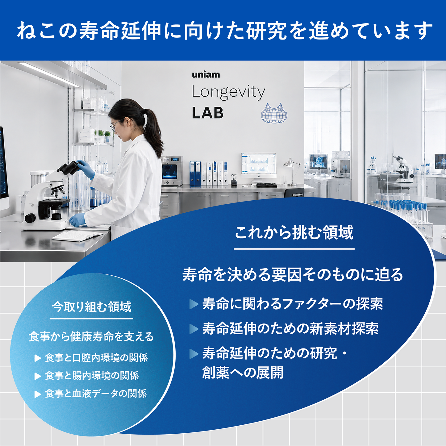 【定期便】ピュアピューレ デンタルケア