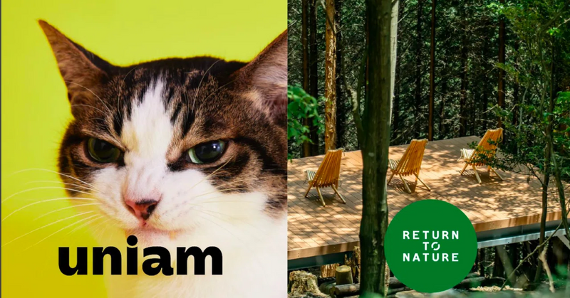 ねことわたしの終活ー元気なうちから、なぜ最期を考えるのか。uniam×循環葬イベント