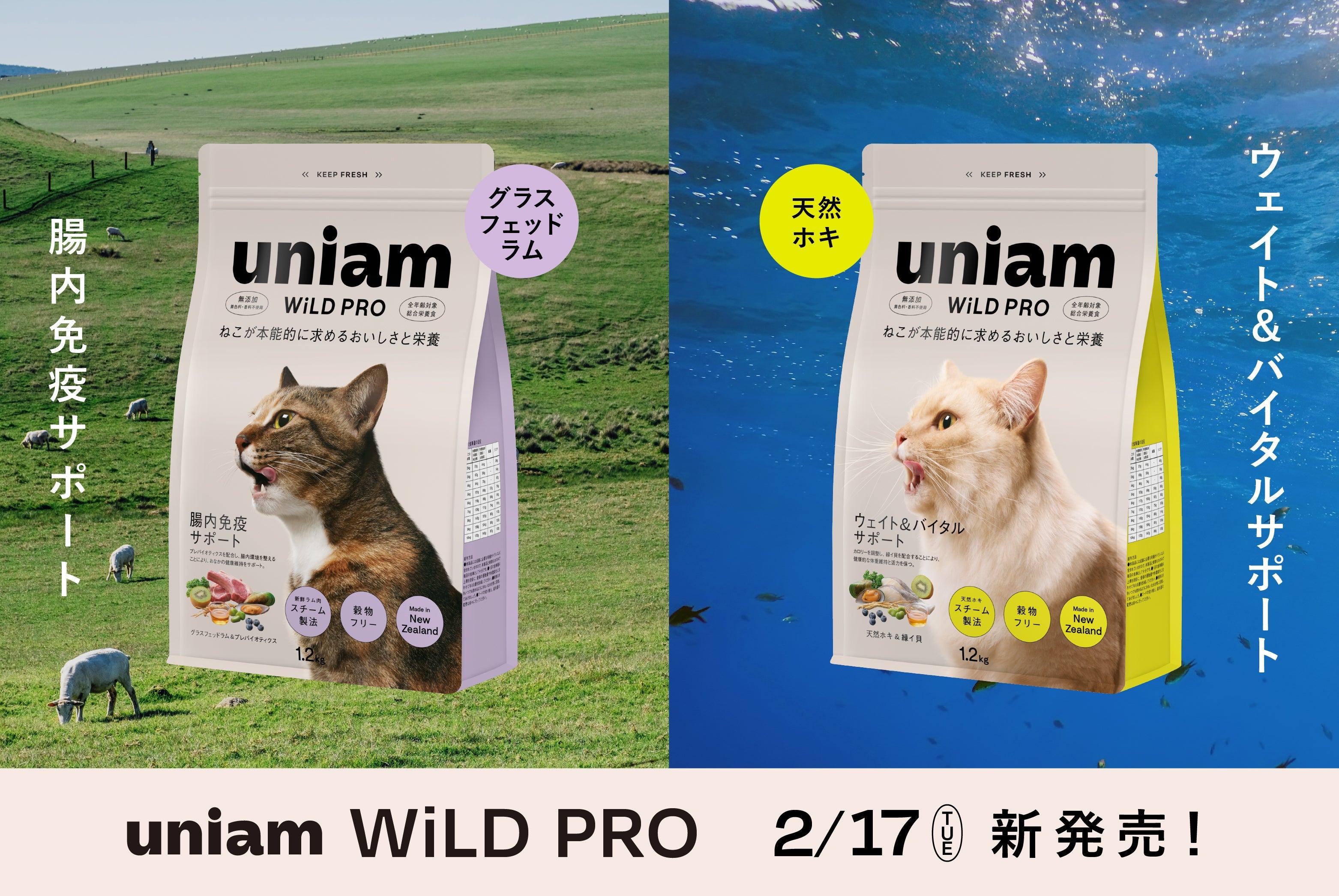 新発売】「WiLD PRO（ワイルドプロ）」販売開始のお知らせ – uniam