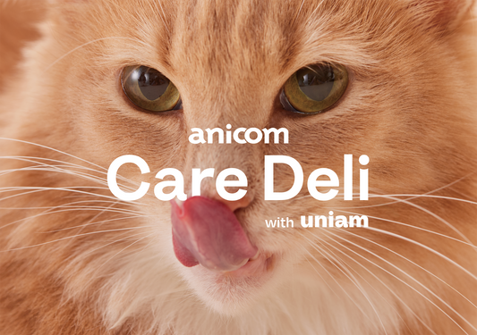 ペット保険会社シェアNo.1アニコムと保険データを活用した猫用ウェットフードを共同開発