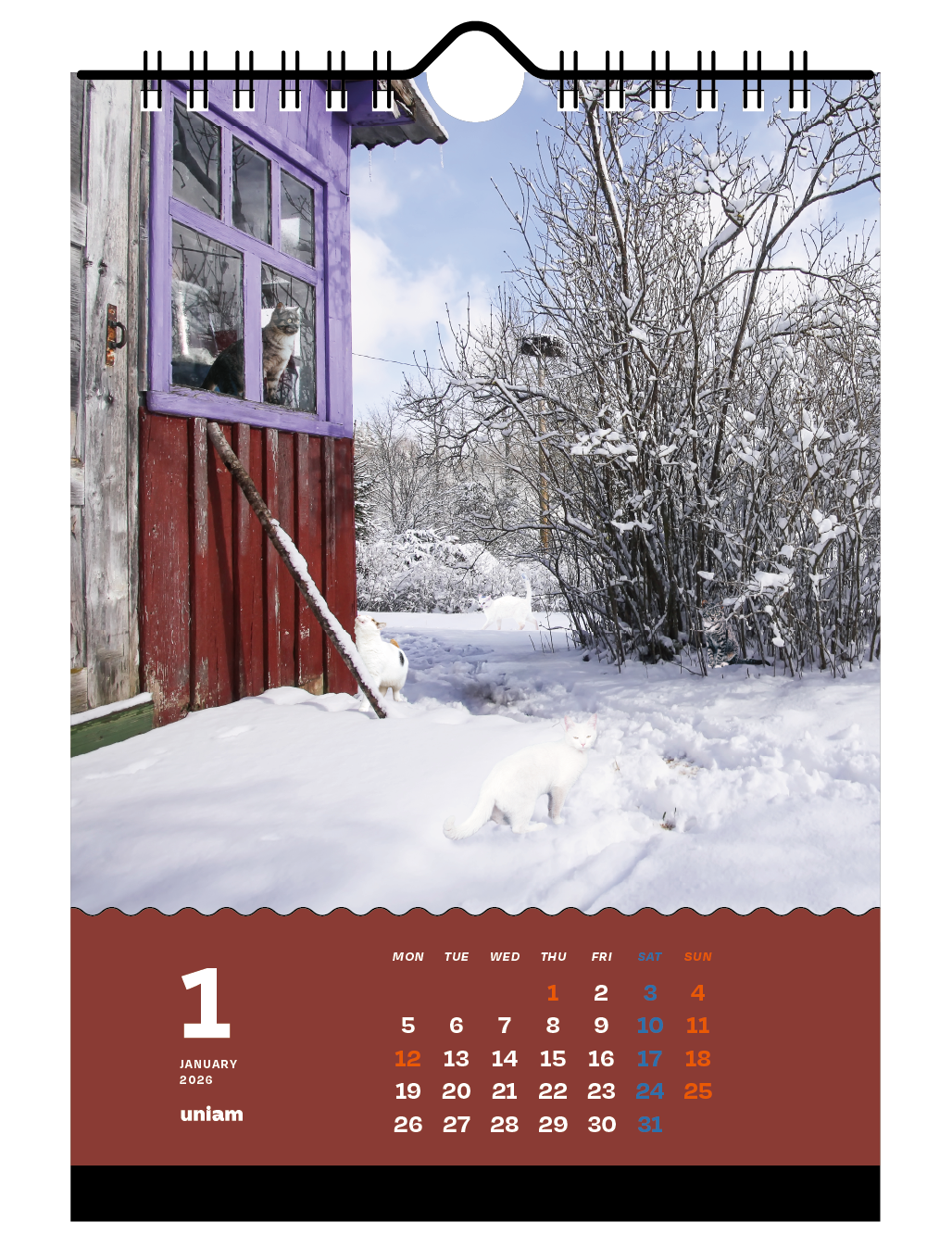 【数量限定】ねこどこカレンダー2026