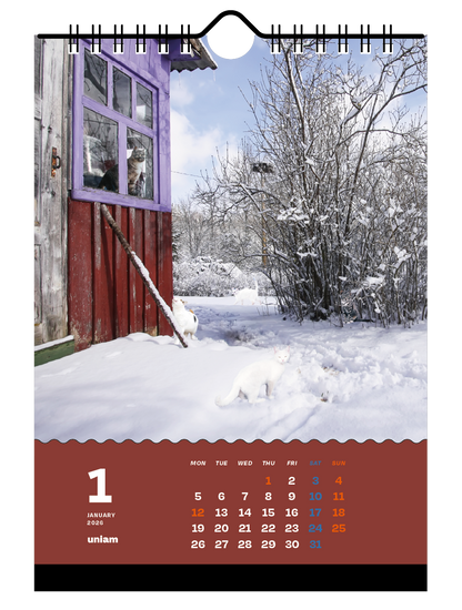 【数量限定】ねこどこカレンダー2026