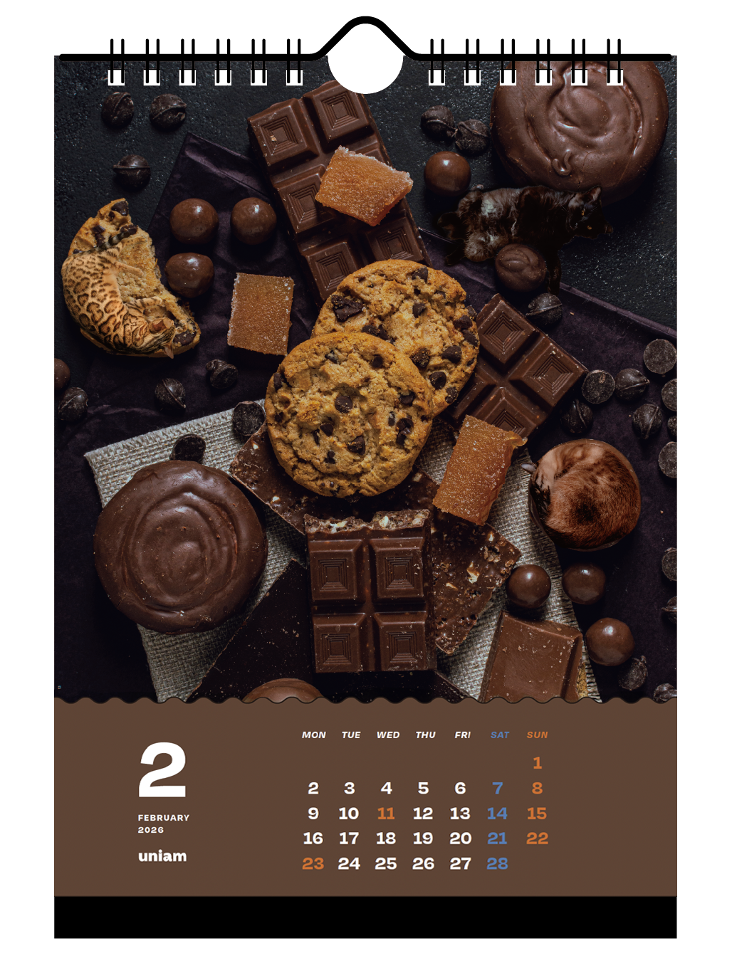 【数量限定】ねこどこカレンダー2026