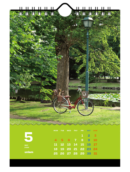 【数量限定】ねこどこカレンダー2026