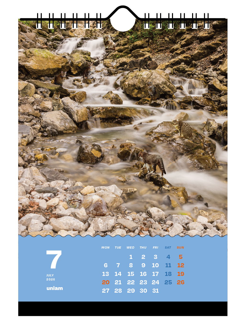 【数量限定】ねこどこカレンダー2026