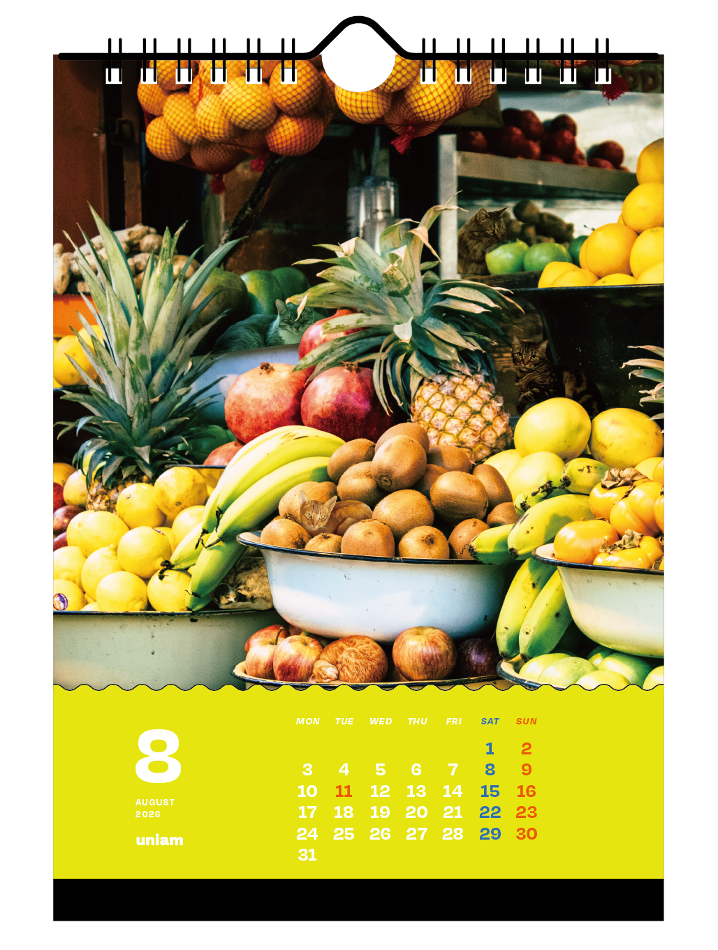 【数量限定】ねこどこカレンダー2026