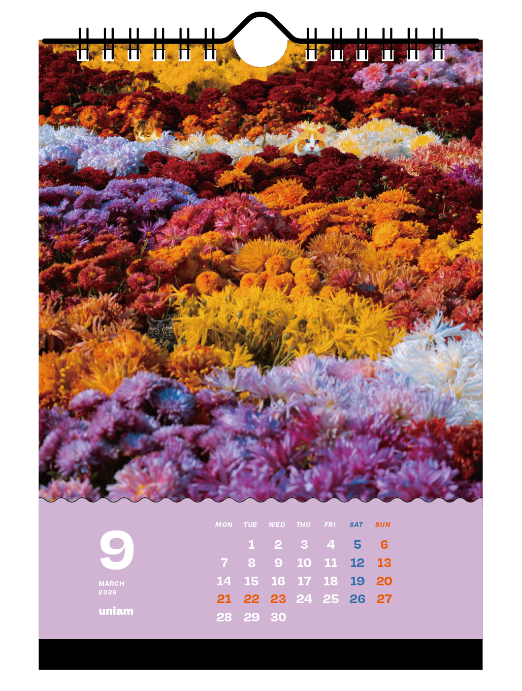 【数量限定】ねこどこカレンダー2026