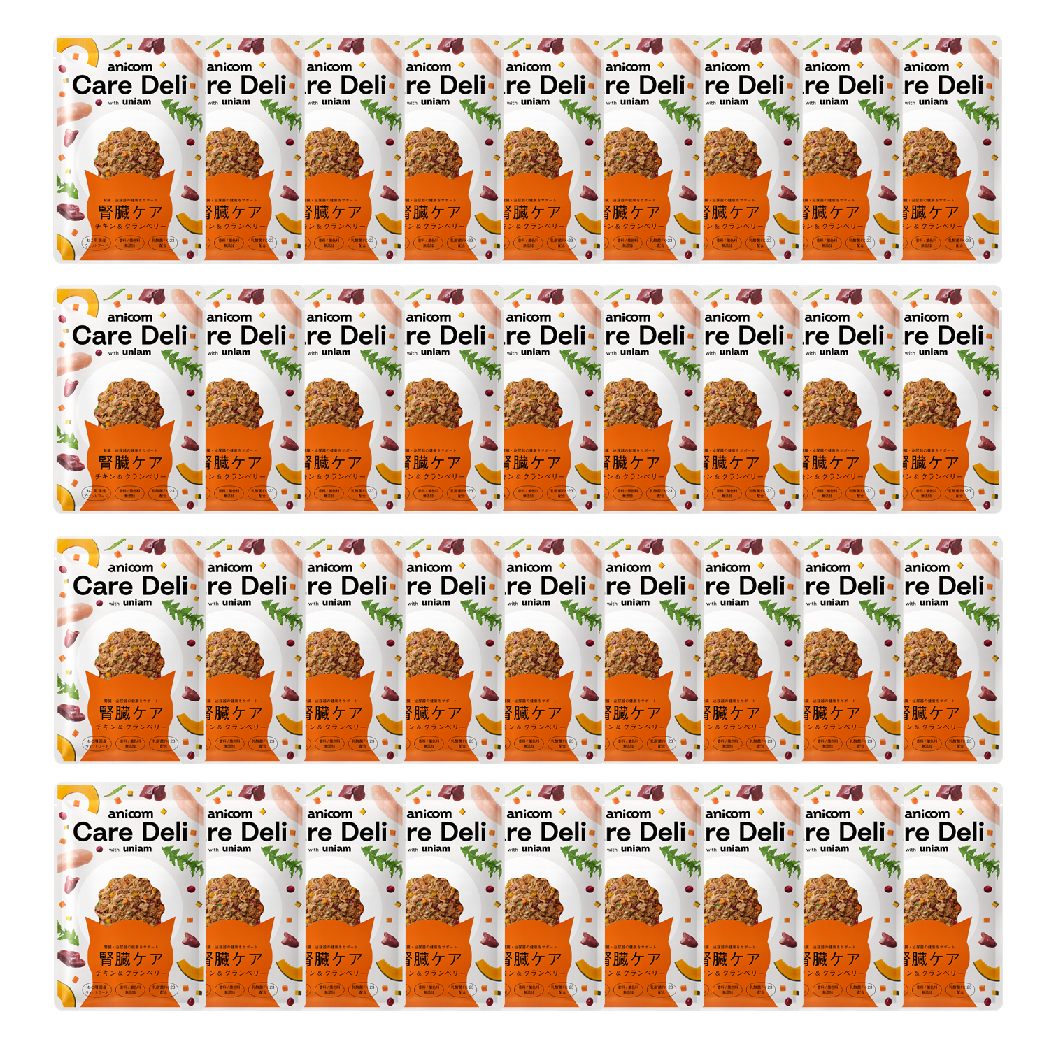 【エコ配定期便】Care Deli ウェットフード 腎臓ケア