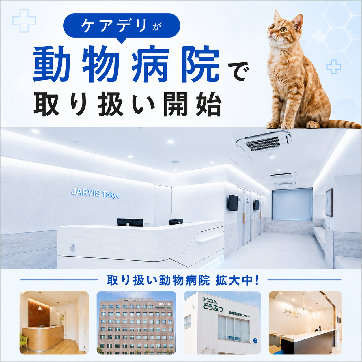 単品】Care Deli ウェットフード 腎臓ケア – uniam（ユニアム）