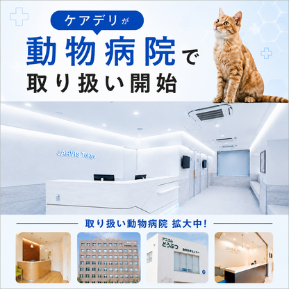 【単品】Care Deli ウェットフード 腎臓ケア