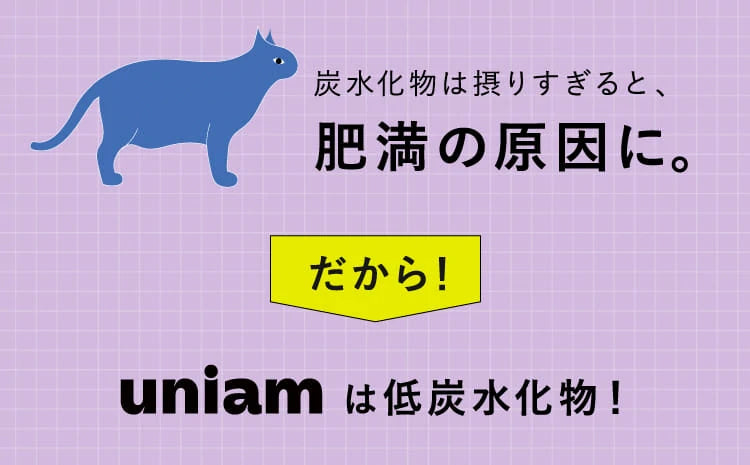 炭水化物は摂りすぎると、肥満の原因に。