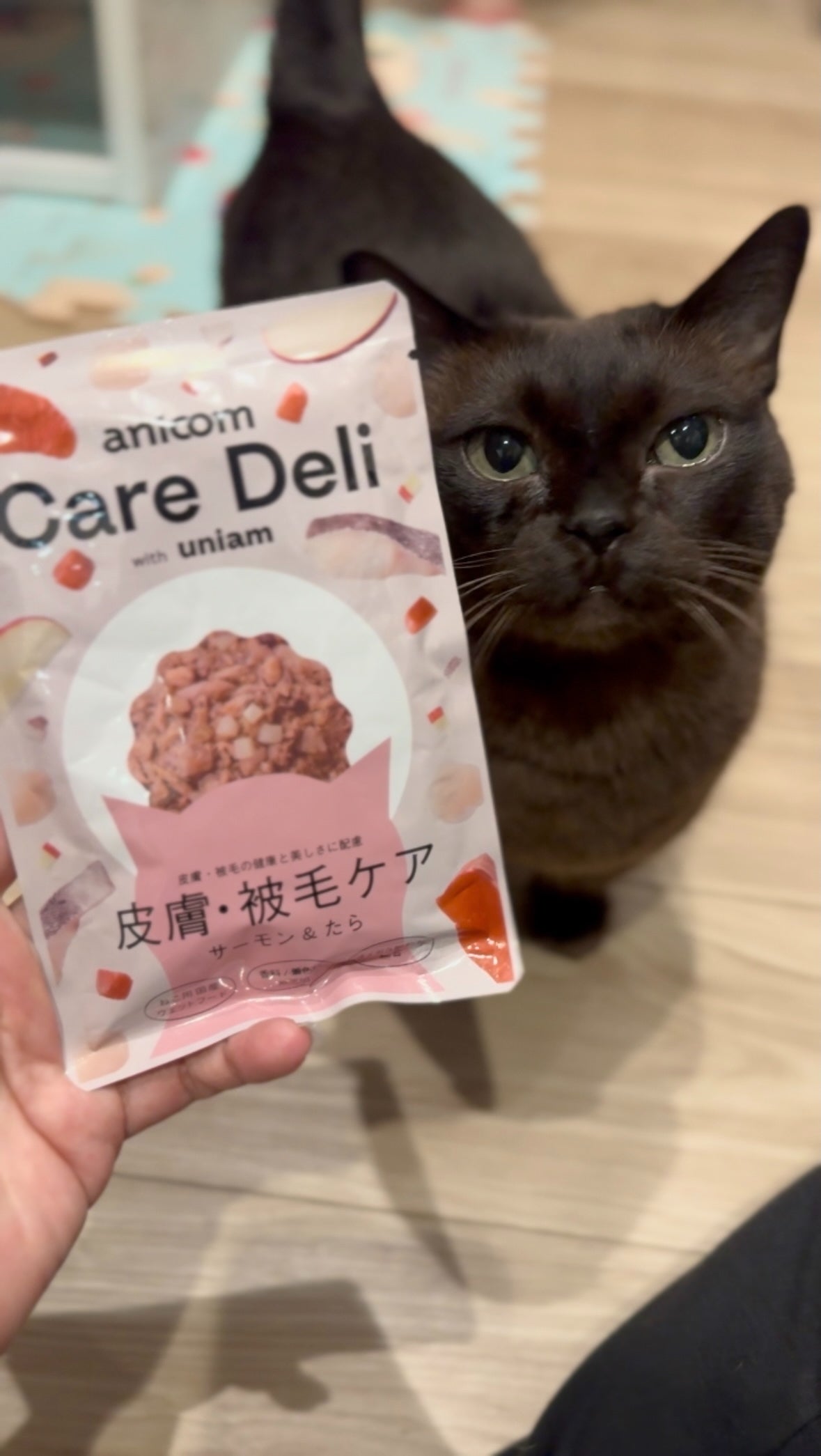 Care Deliとねこの投稿イメージ