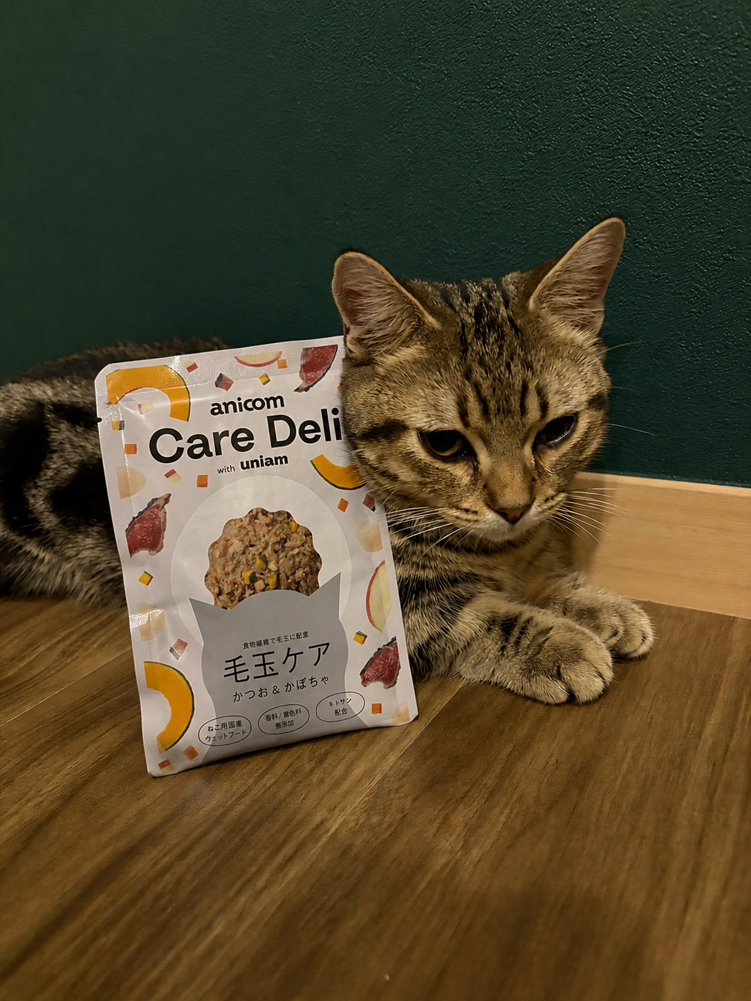 Care Deli 毛玉ケアとねこの投稿イメージ